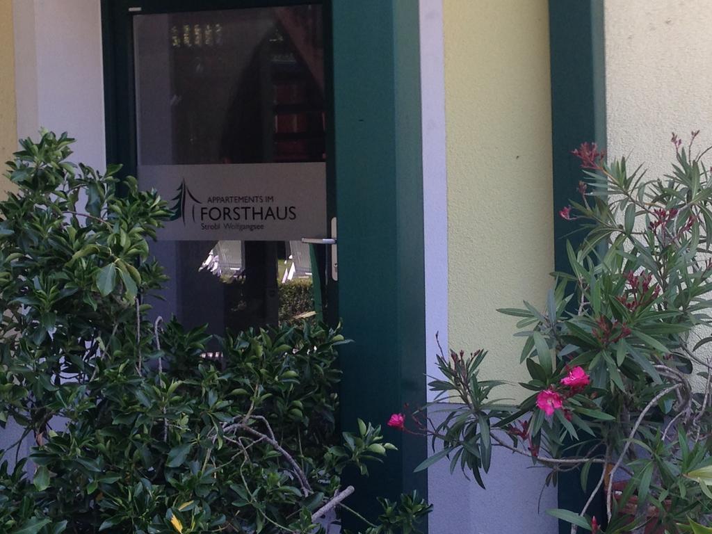 Appartements Im Forsthaus Strobl Esterno foto