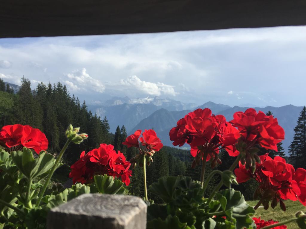 Appartements Im Forsthaus Strobl Esterno foto